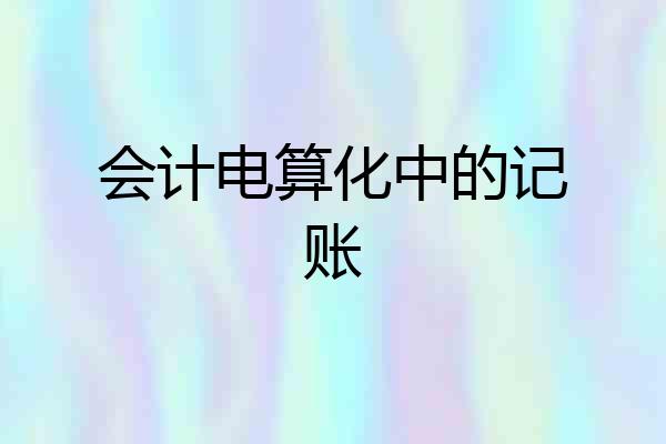 会计电算化中的记账