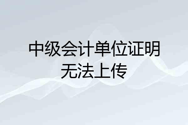中级会计单位证明无法上传