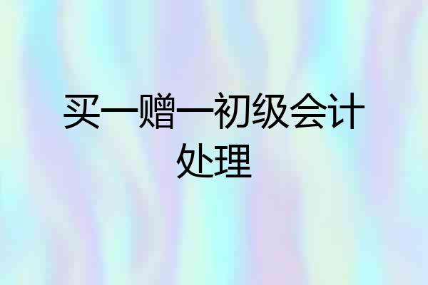 买一赠一初级会计处理