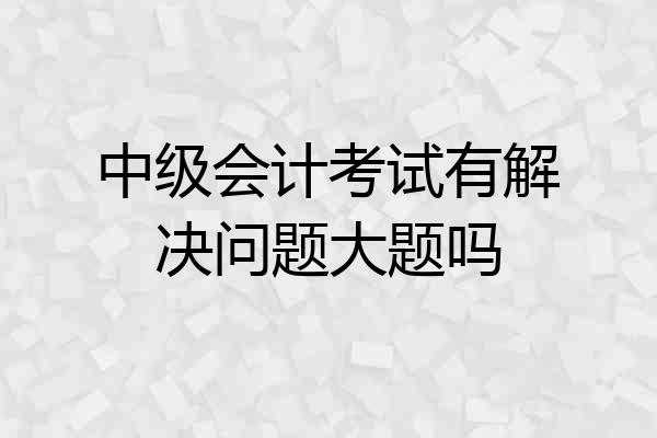中级会计考试有解决问题大题吗