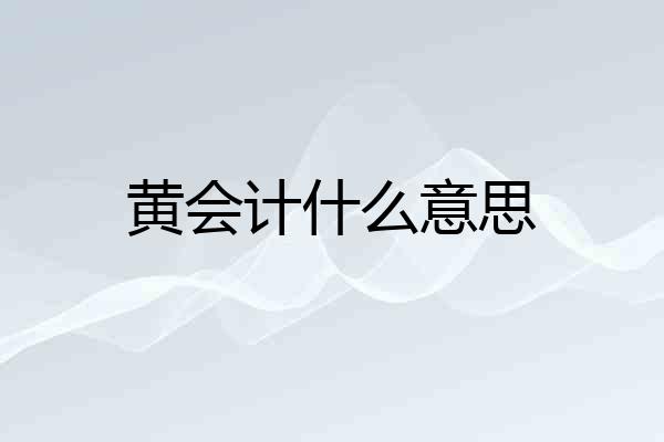 黄会计什么意思