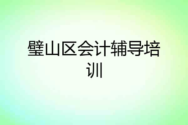 璧山区会计辅导培训