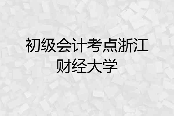 初级会计考点浙江财经大学