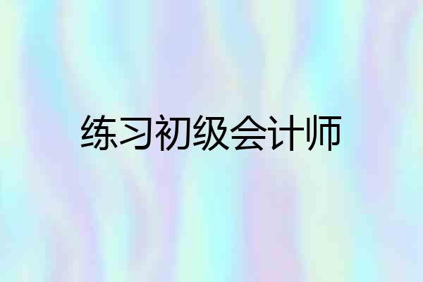 练习初级会计师