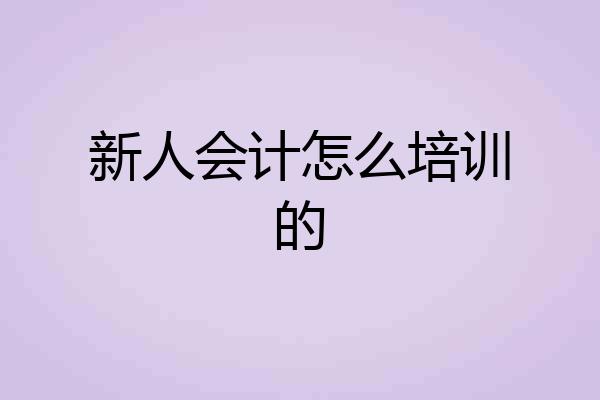 新人会计怎么培训的