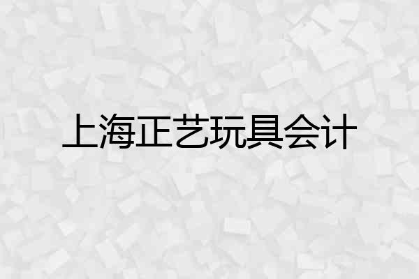 上海正艺玩具会计