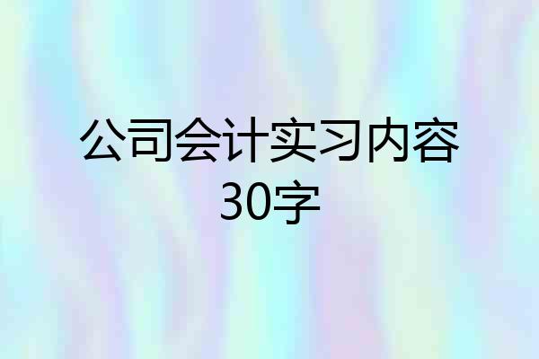 公司会计实习内容30字