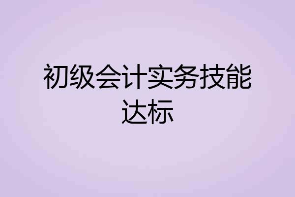 初级会计实务技能达标