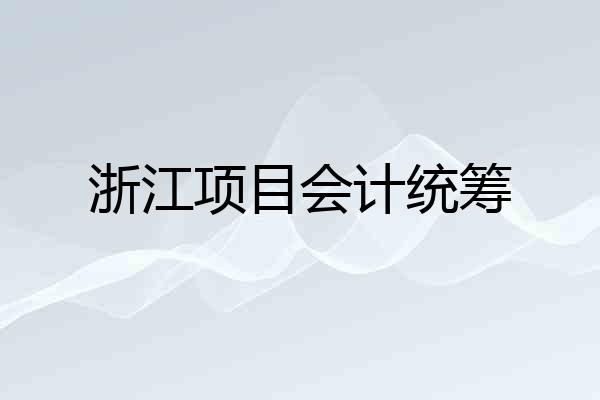 浙江项目会计统筹