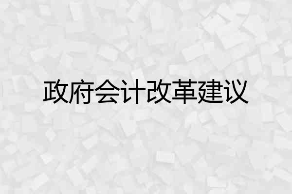 政府会计改革建议