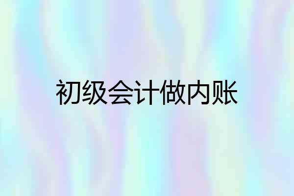 初级会计做内账
