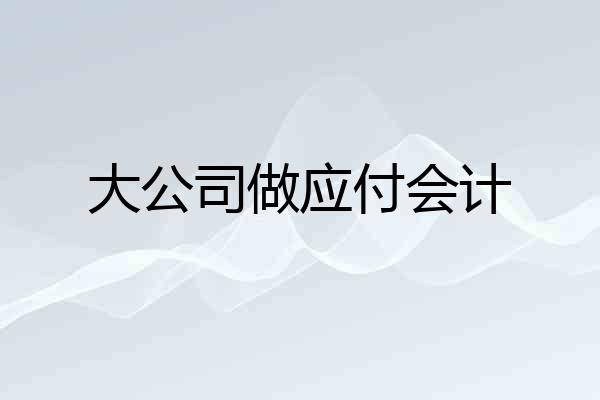 大公司做应付会计