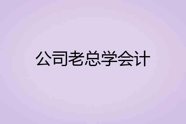 公司老总学会计