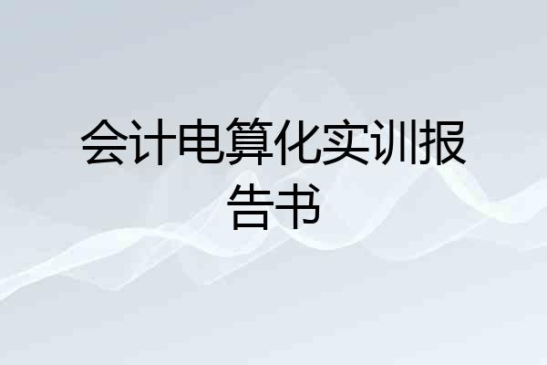 会计电算化实训报告书