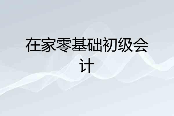 在家零基础初级会计