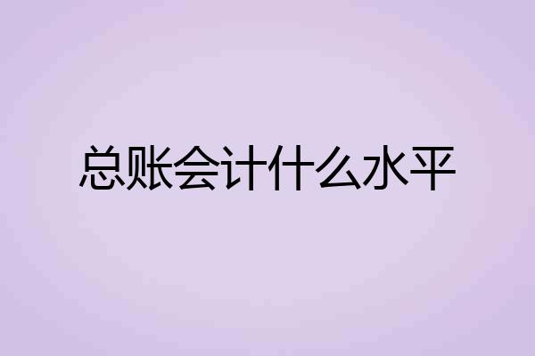 总账会计什么水平