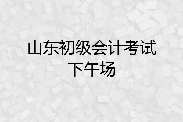山东初级会计考试下午场