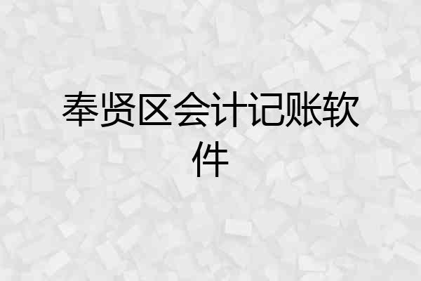 奉贤区会计记账软件
