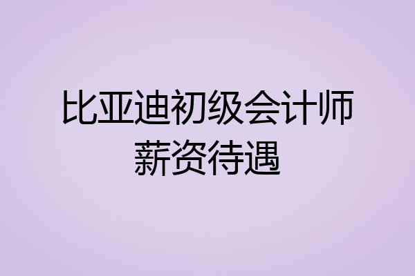 比亚迪初级会计师薪资待遇
