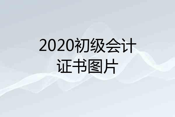 2020初级会计证书图片