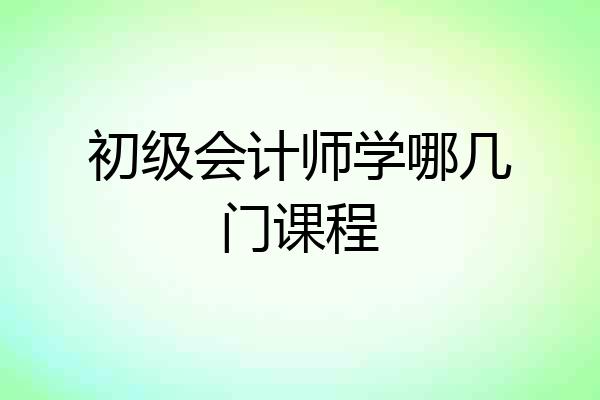 初级会计师学哪几门课程