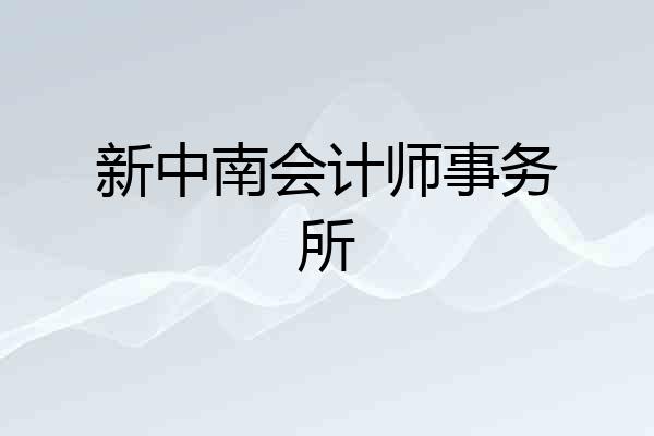 新中南会计师事务所