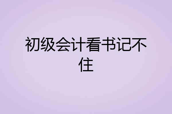 初级会计看书记不住