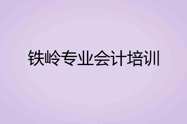 铁岭专业会计培训