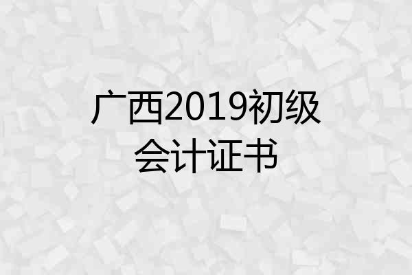 广西2019初级会计证书