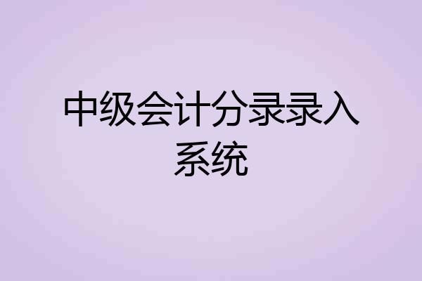 中级会计分录录入系统
