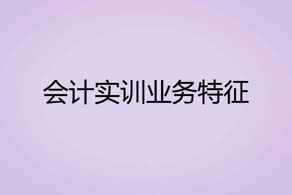 会计实训业务特征