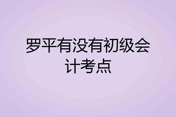 罗平有没有初级会计考点