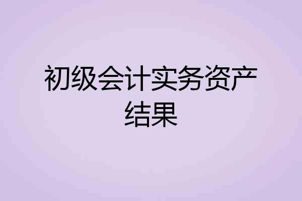 初级会计实务资产结果