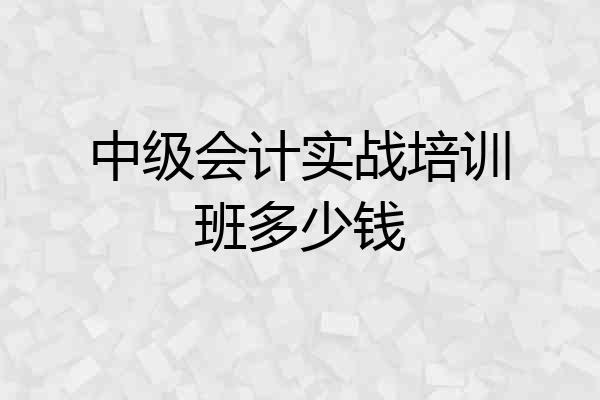 中级会计实战培训班多少钱