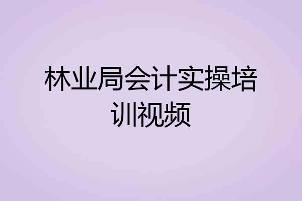 林业局会计实操培训视频