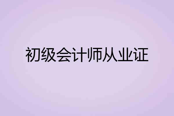 初级会计师从业证