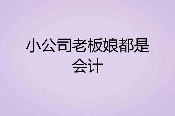 小公司老板娘都是会计
