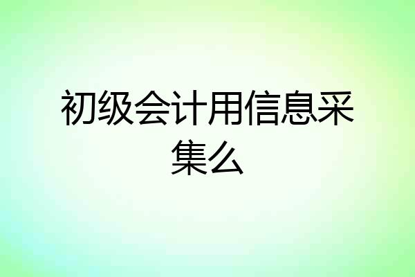 初级会计用信息采集么