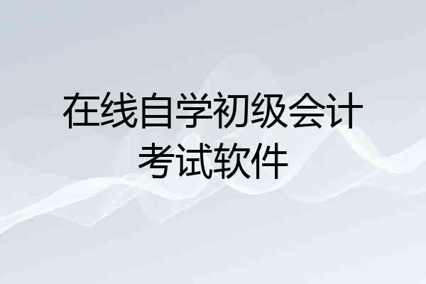 在线自学初级会计考试软件