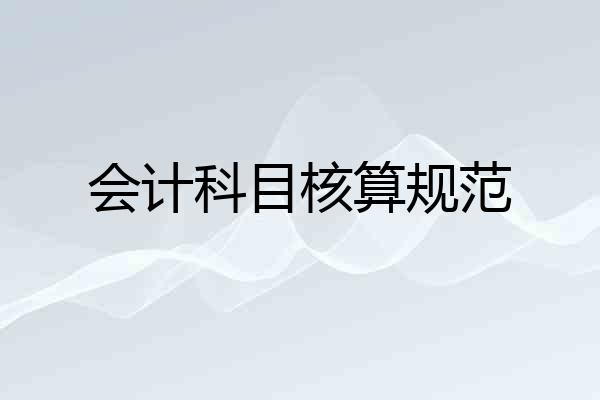 会计科目核算规范