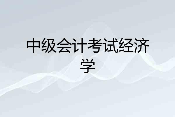 中级会计考试经济学