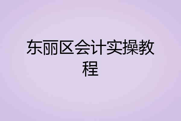 东丽区会计实操教程