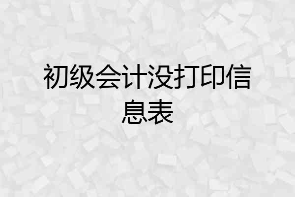 初级会计没打印信息表