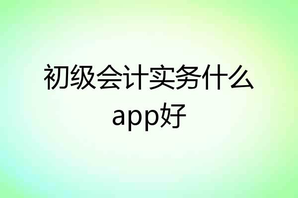 初级会计实务什么app好