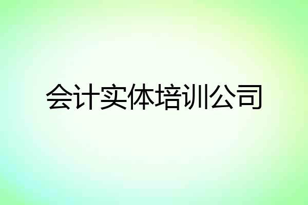 会计实体培训公司