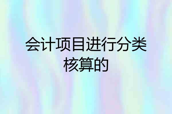 会计项目进行分类核算的