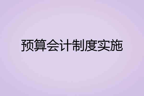 预算会计制度实施