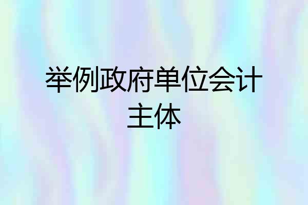 举例政府单位会计主体