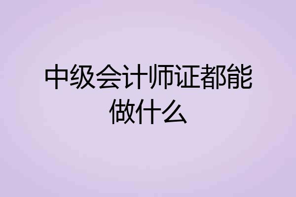 中级会计师证都能做什么