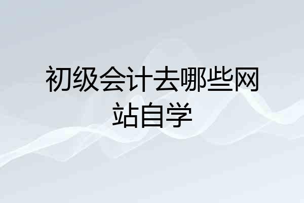 初级会计去哪些网站自学